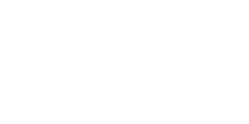 Good bun — Aynnaka portfolio
