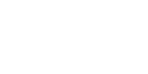 Les Palmiers — Aynnaka portfolio