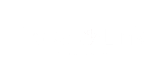 Travel link — Aynnaka portfolio